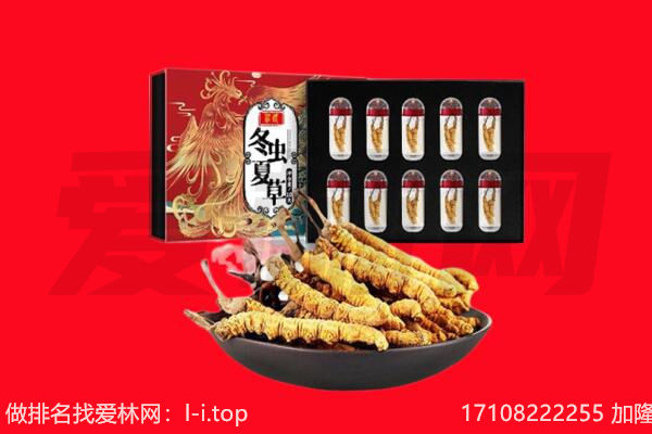 博白县回收虫草.jpg